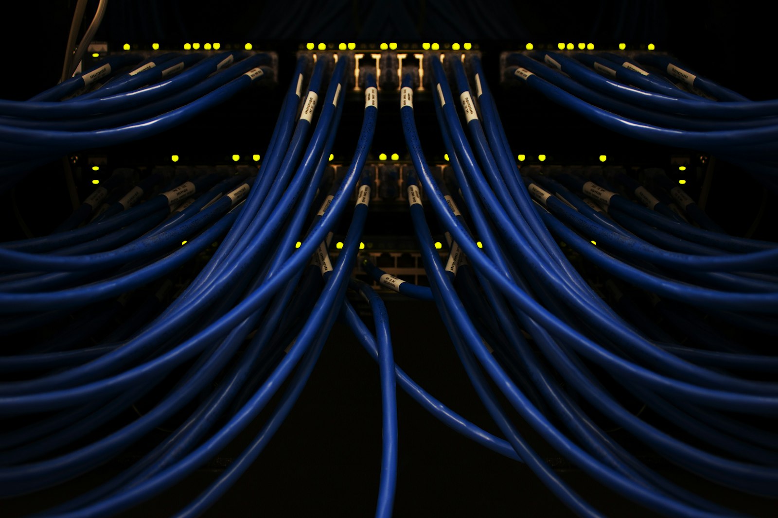 Bundle of blue fiber optic network cables