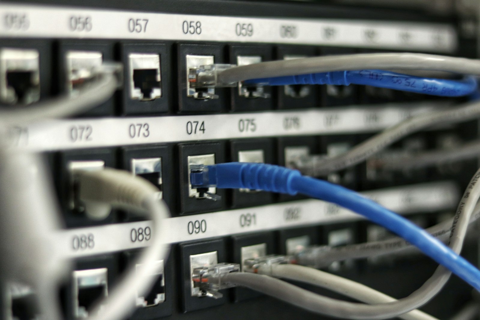 Blue Ethernet network cable connector